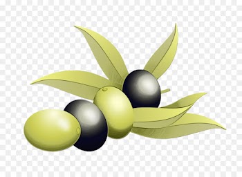 olive fruit plant leaf tree