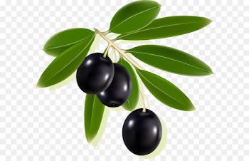 Olive Label Clip art - Olives 