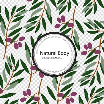 Olive leaf Olive leaf Olive branch Euclidean , Olive leaves and decorative background transparent background PNG clipart