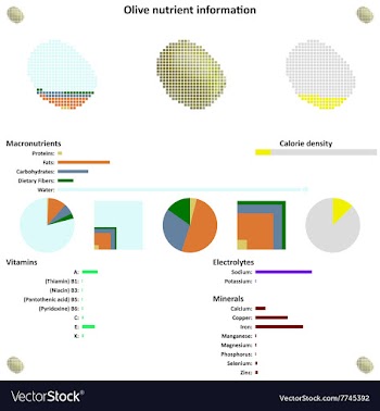 Olive nutrient information vector image
