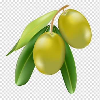 Olive oil Cartoon Illustration, Olive fruit cartoon transparent background PNG clipart