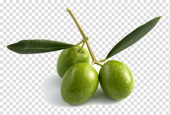 Olive oil Olive leaf Fruit, olive oil transparent background PNG clipart