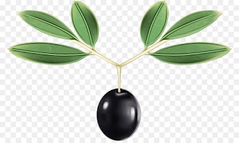olive plant tree leaf flower