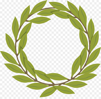 Olive Tree Drawing png download - 1213*1167 - Free Transparent ...