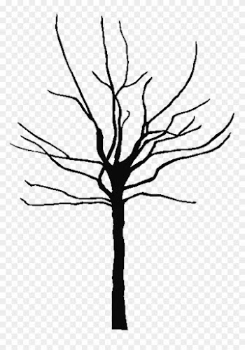 Olive Tree Outline Silhouette Icon Stock Vector Dream - Bare Tree Silhouette Png