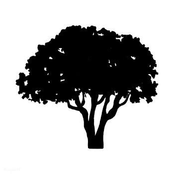 Olive tree silhouette on white background | Free stock vector - 488620