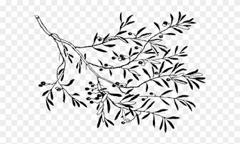 Olive Tree Stamp