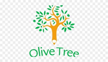 Olive Tree Study - Tree