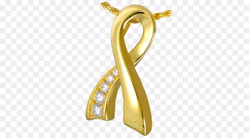Oliver Shifler & Scotchlas Funeral Home Inc Pendant Jewellery Necklace Gold - jewellery 