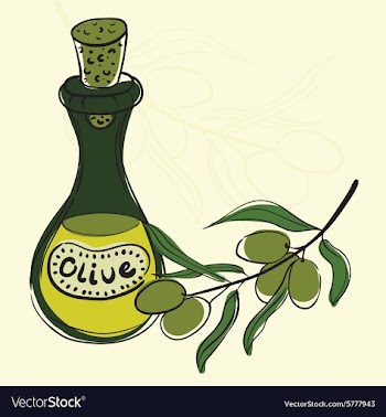 Olives vector image