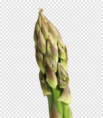 Omelette Vegetable Bamboo shoot Asparagus, Delicious vegetable bamboo shoots transparent background PNG clipart