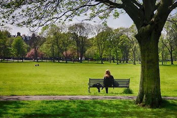 on_a_bench.jpg