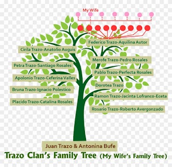 On The Photo Above, It Shows The Family Tree Of The - Tree