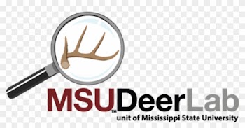Once - Food Plot