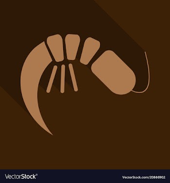 One cooked shrimp without shell primitive cartoon vector image