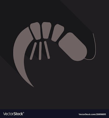 One cooked shrimp without shell primitive cartoon vector image