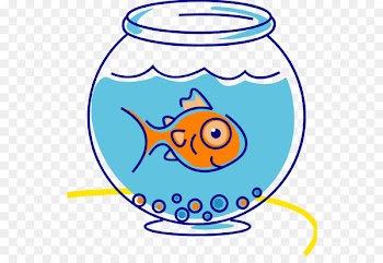 One Fish, Two Fish, Red Fish, Blue Fish A Fish out of Water Goldfish Pet - fish 