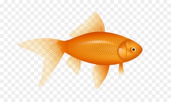 One Fish, Two Fish, Red Fish, Blue Fish Clip art - Goldfish Cliparts 