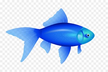 One Fish, Two Fish, Red Fish, Blue Fish Redfish Red drum Goldfish Clip art - Goldfish Kiss Cliparts 
