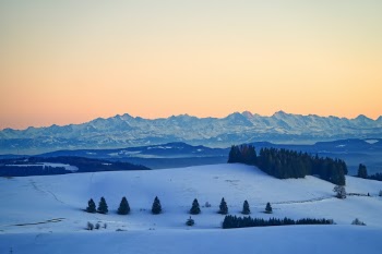 One of the last winter days with crystal clear sky to see the alps behind the Blackwood forest.