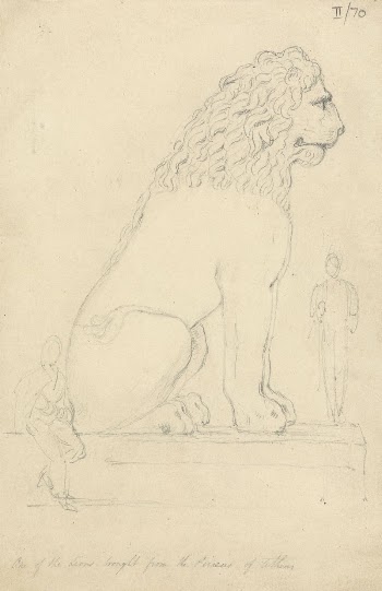 One of the Lions Taken | Free Photo - rawpixel