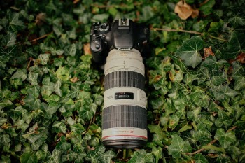 One of the most popular `Canon lenses around?