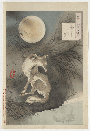 one sheet; seated wolf with its | Free Photo - rawpixel