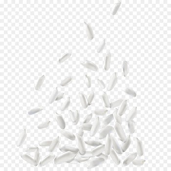 Onigiri White rice - White rice vector png 