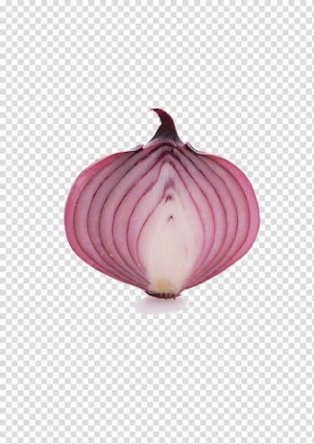 Onion Allium fistulosum Vegetable Food Scrambled eggs, Slice onion transparent background PNG clipart