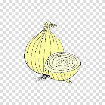 Onion Ausmalbild Vegetable, Cartoon vegetables transparent background PNG clipart