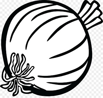 Onion Drawing Clip art - onion 
