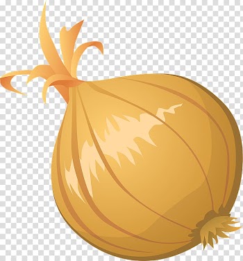 Onion Free content , Onion transparent background PNG clipart