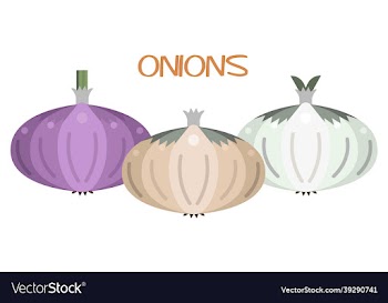 onion icon set white red yellow and bulb