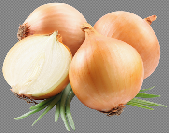 Onion PNG Image Background