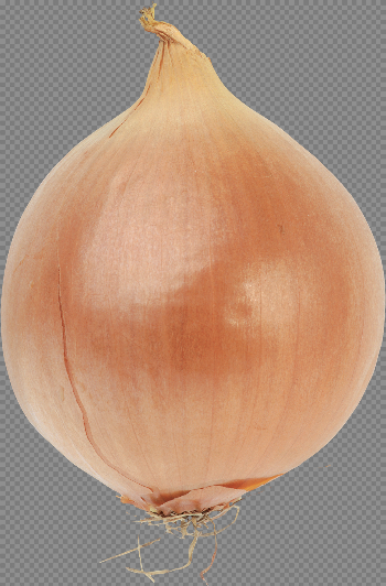 Onion PNG Image with Transparent Background