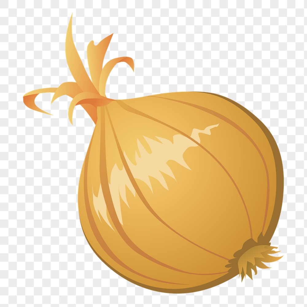 Onion png sticker vegetable illustration, | Free PNG - rawpixel