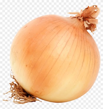 Onion Png Transparent Images - Baby At 17 Weeks