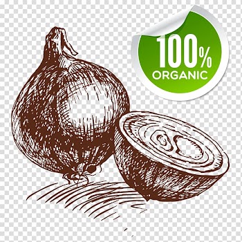 Onion ring Shallot Vegetable Fried onion, onion transparent background PNG clipart