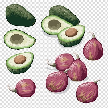 Onion ring Vinaigrette Potato onion Vegetable Food, vegetable transparent background PNG clipart