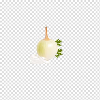 Onion Scallion Allium fistulosum Garlic, White Onion transparent background PNG clipart