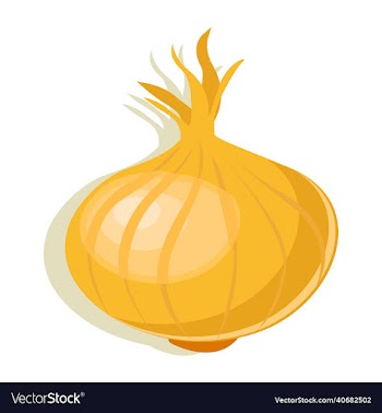 onion vegetable