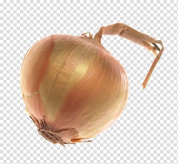 Onion Vegetable, An onion transparent background PNG clipart