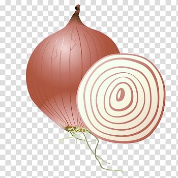 Onion Vegetable, cartoon onion transparent background PNG clipart