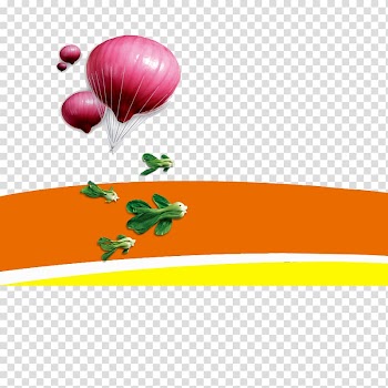 Onion Vegetable Gratis Icon, Onion vegetables transparent background PNG clipart