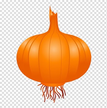 Onion Vegetable Icon, onion transparent background PNG clipart