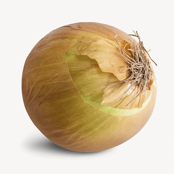 Onion vegetable, isolated food image | Free PSD - rawpixel