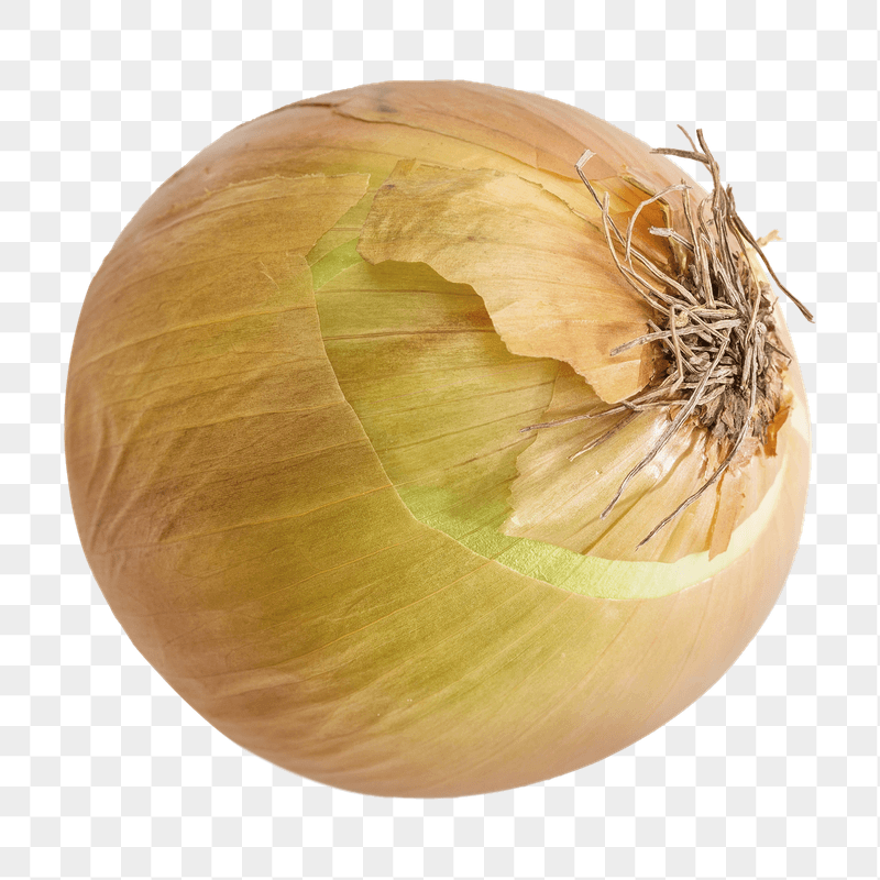 Onion vegetable png sticker, transparent | Free PNG - rawpixel