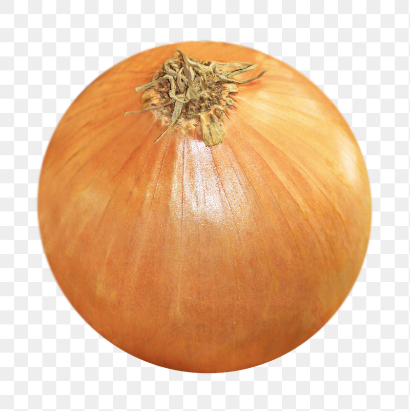 Onion vegetable png sticker, transparent | Free PNG - rawpixel