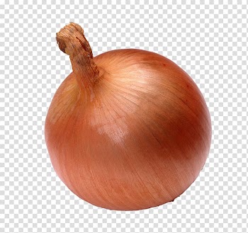 Onion Vegetable Seed Watermelon, Creative onion transparent background PNG clipart