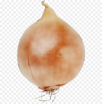 onion vegetable yellow onion food shallot